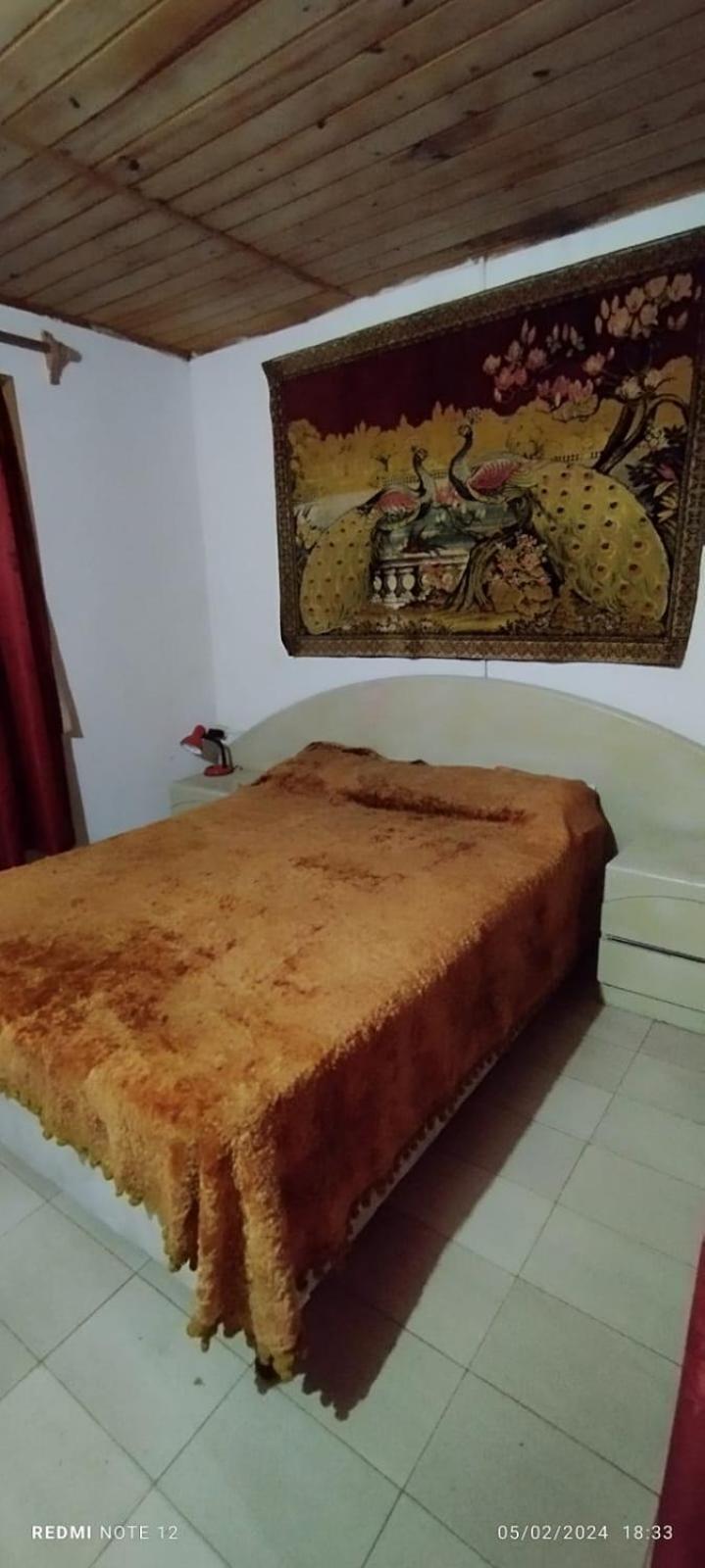 Sapitos,